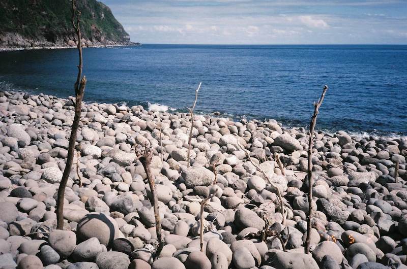 海岸のもの派